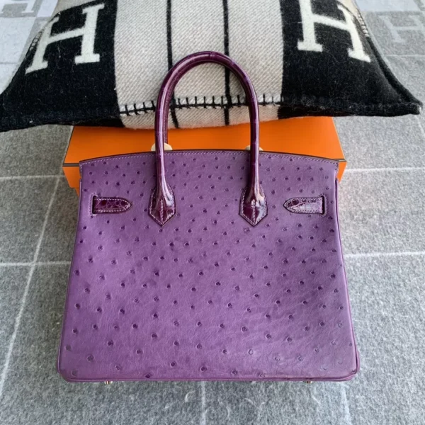 Canada Ottawa Hermes Birkin 30CM P9 Anemone Ostrich / Shiny Crocodile Silver Hardware