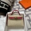 wsxc1715092400218_0-1 Special Order Hermes Parchemin / Rose Tyrien Ostrich Mini Kelly 19CM Gold Hardware