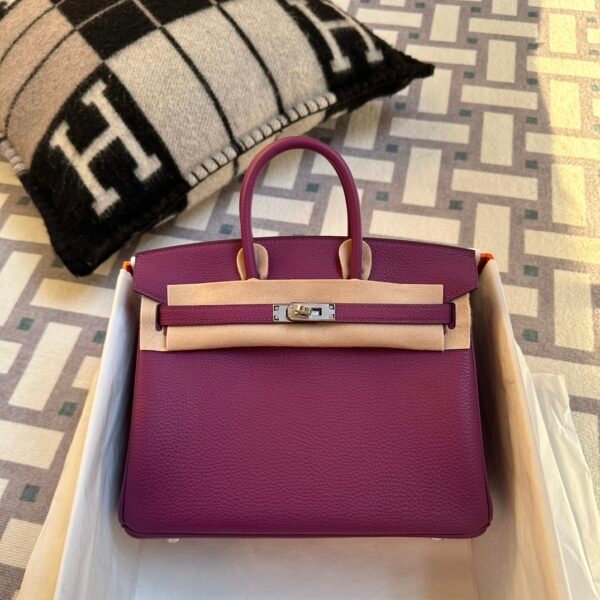 wsxc1718384398628_0-1 Indonesia Jakarta Hermes Birkin 25CM P9 Anemone Togo Leather Silver Hardware