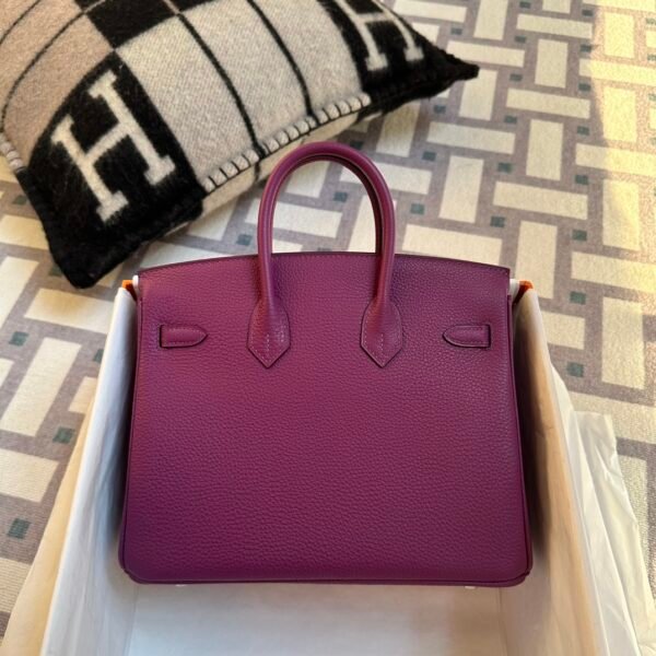 wsxc1718384398628_1 Indonesia Jakarta Hermes Birkin 25CM P9 Anemone Togo Leather Silver Hardware