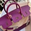 Indonesia Jakarta Hermes Birkin 25CM P9 Anemone Togo Leather Silver Hardware