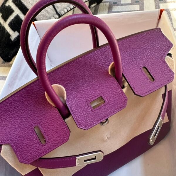 wsxc1718384398628_4 Indonesia Jakarta Hermes Birkin 25CM P9 Anemone Togo Leather Silver Hardware