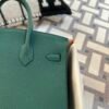 Hermes Bag Images Birkin 25CM Togo Leather Z6 Malachite Gold Hardware