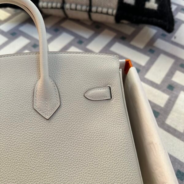 USA Washington Hermes Birkin 25CM Togo Leather 0T Mushroom Gold Hardware