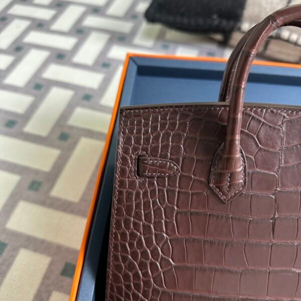 Canada Ottawa Hermes Havana Matte Alligator Crocodile Birkin Sellier 20CM Silver Hardware