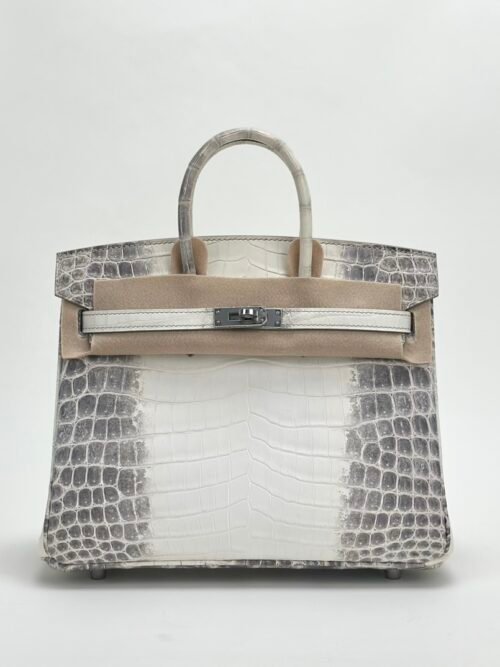 Hermes Birkin 25 Images Himalaya Crocodile Leather Tote Bag Silver Hardware