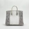 wsxc1729954571408_1 Hermes Birkin 25 Images Himalaya Crocodile Leather Tote Bag Silver Hardware