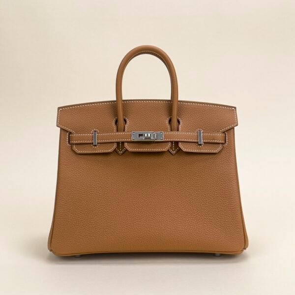 Hermes Bag Price Togo Leather CK37 Gold Birkin 25CM Silver Hardware