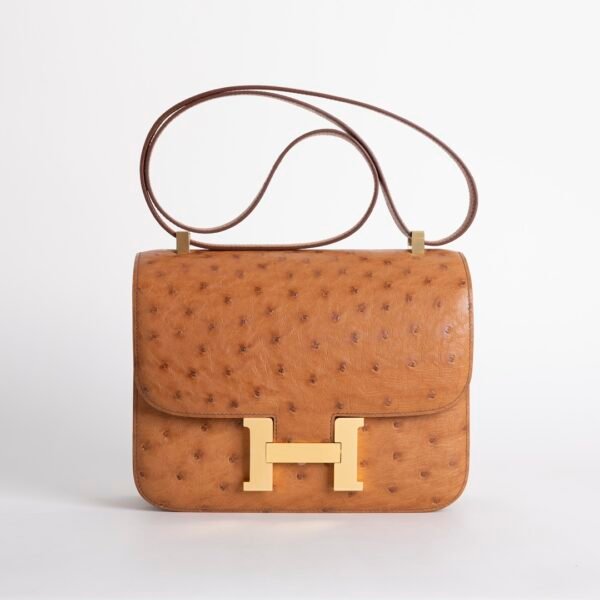 wsxc1731521179968_0-1 Luxury Women’s Bag Cognac Ostrich Leather Constance 24CM Gold Hardware