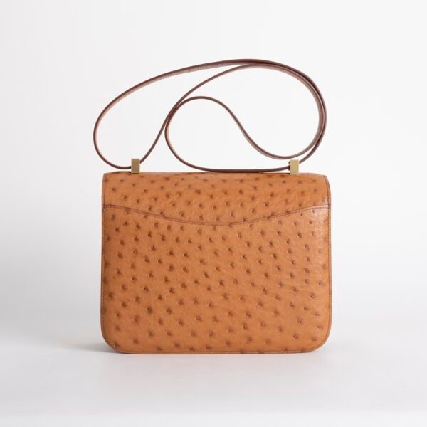 wsxc1731521179968_1 Luxury Women’s Bag Cognac Ostrich Leather Constance 24CM Gold Hardware
