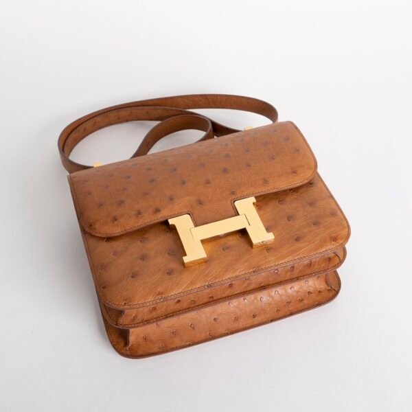 wsxc1731521179968_2 Luxury Women’s Bag Cognac Ostrich Leather Constance 24CM Gold Hardware