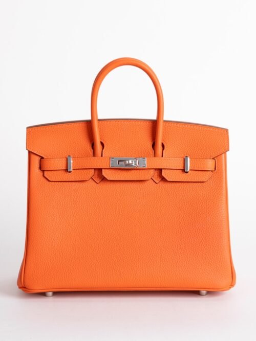 Canada Ottawa Togo Leather CK93 Orange Birkin 25CM Silver Hardware