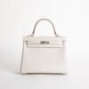 wsxc1736526298151_0-scaled-2 Luxury Handbag Matte Alligator Crocodile Kelly 25CM 8L Beton Silver Hardware
