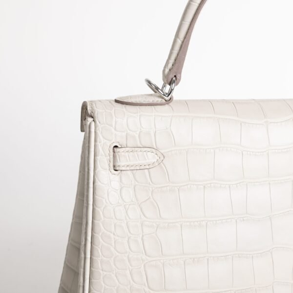 wsxc1736526298151_3-scaled-1 Luxury Handbag Matte Alligator Crocodile Kelly 25CM 8L Beton Silver Hardware