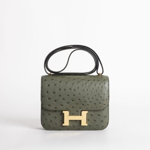 wsxc1740501108250_0-scaled-2 Hermes Women’s Bag Ostrich Leather Constance 18CM 6O Vert Cypres Gold Hardware