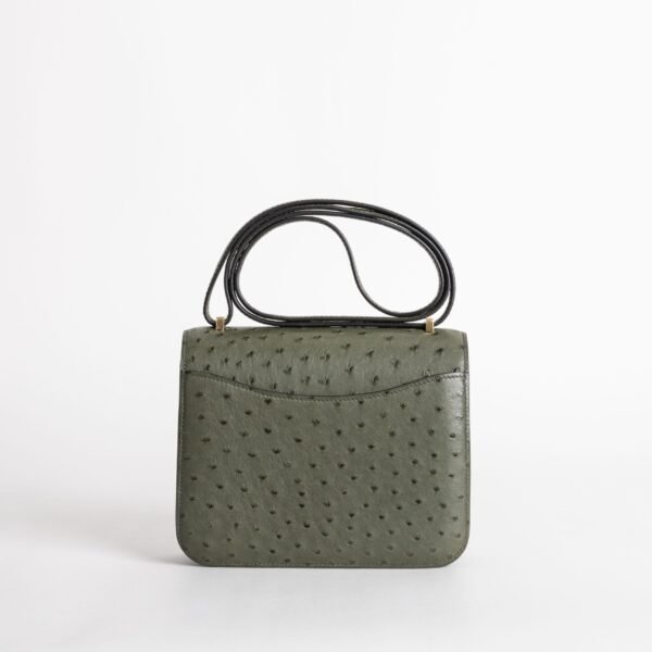 wsxc1740501108250_1-scaled-1 Hermes Women’s Bag Ostrich Leather Constance 18CM 6O Vert Cypres Gold Hardware